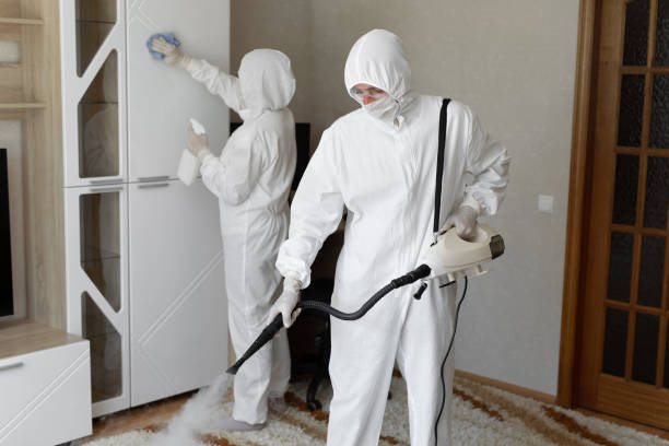 Affordable Infectious Disease Decontamination solutions in Zarephath, NJ